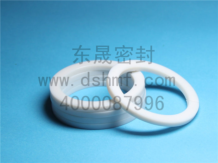 輔助密封件產(chǎn)品，擋圈