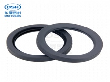 全四氟油封（PTFE）B1型